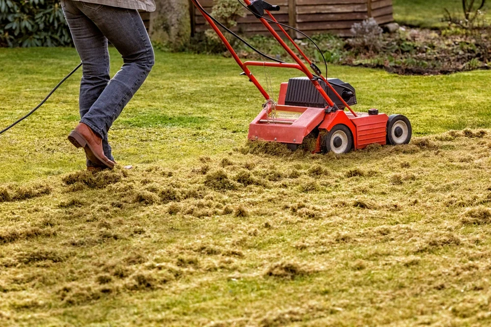 Spring lawn cleanup service in Winnipeg with power raking and aeration