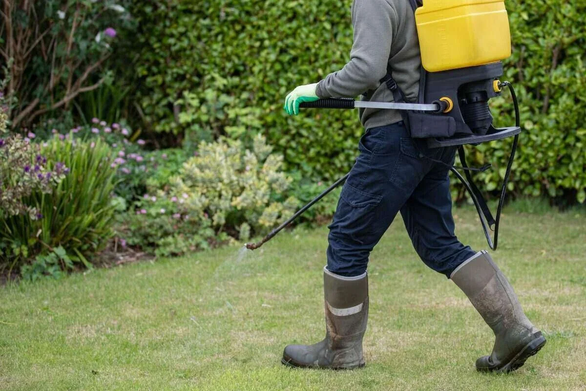 Weed spray being applied to a Winnipeg lawn